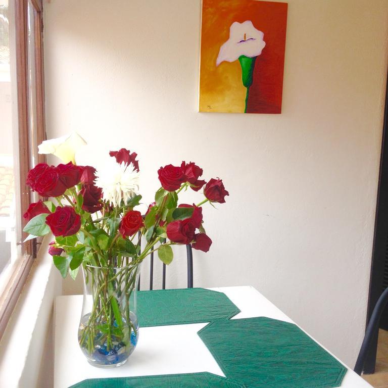 Casa Macondo Bed & Breakfast Cuenca Ngoại thất bức ảnh