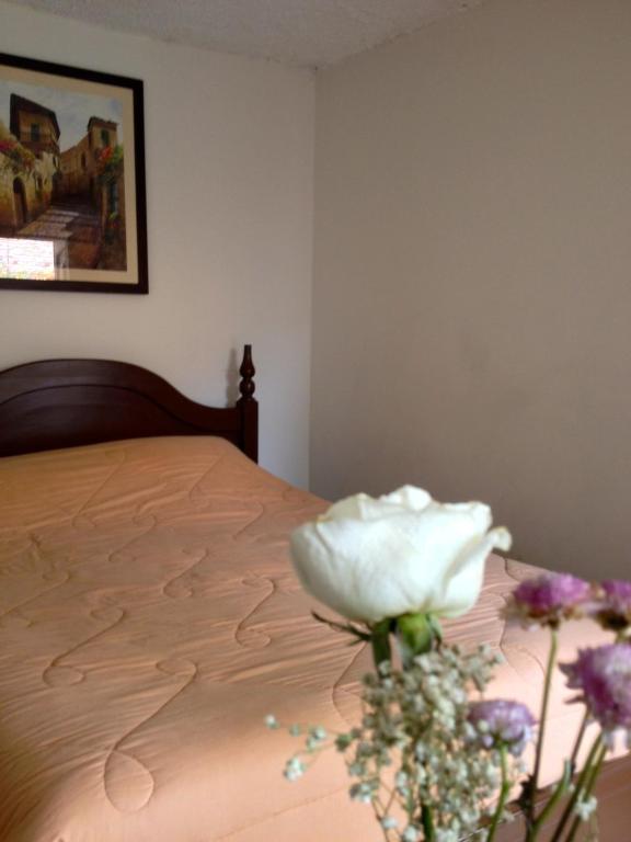 Casa Macondo Bed & Breakfast Cuenca Phòng bức ảnh