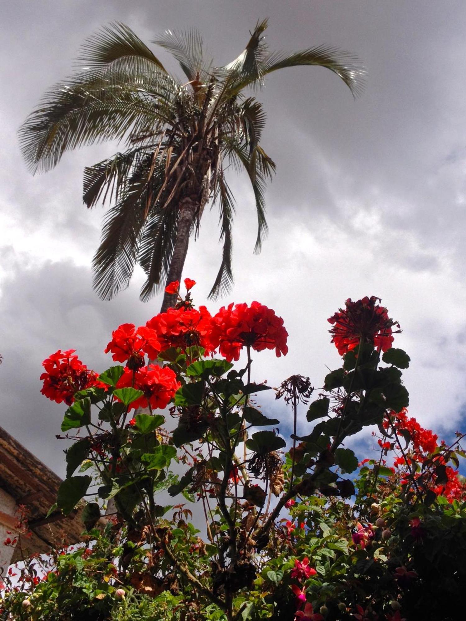 Casa Macondo Bed & Breakfast Cuenca Ngoại thất bức ảnh