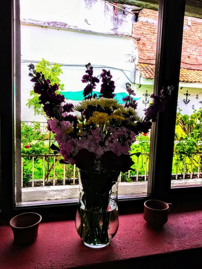 Casa Macondo Bed & Breakfast Cuenca Ngoại thất bức ảnh